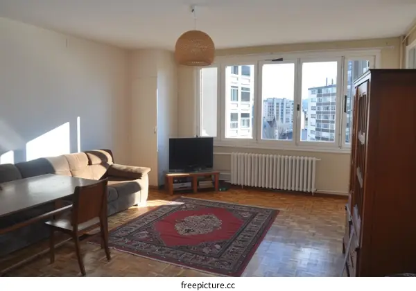 Bright living room with a large window and a red rug