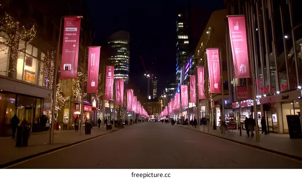 Night View of Illuminated City Street with Banners