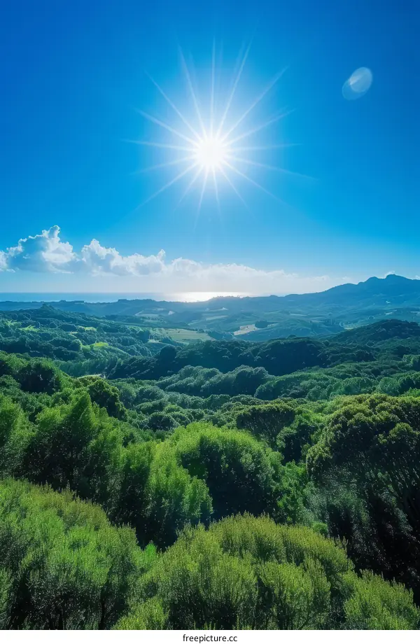 New Zealand landscape with green hills and blue sky