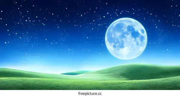 Night Sky with Full Moon and Stars over Green Field