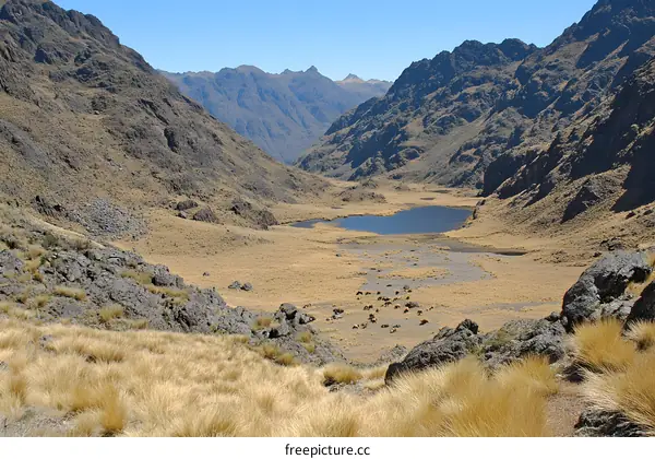 Mountain Valley Landscape with Lake and Grass