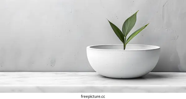 White Concrete Planter with Green Plant on Marble Surface Against a Grey Wall