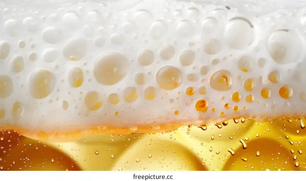 Close Up of Beer Foam and Bubbles