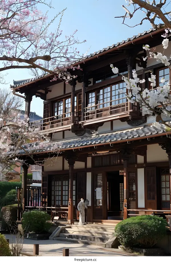 Japanese traditional house with cherry blossoms