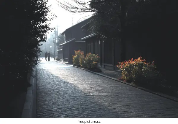 A Peaceful Alleyway in a Japanese Town
