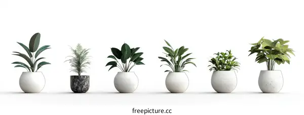 Modern Plant Pots with Various Houseplants