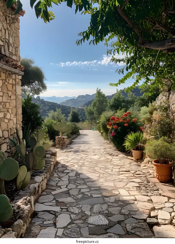 Stone Path Leading to a Scenic Mountain View