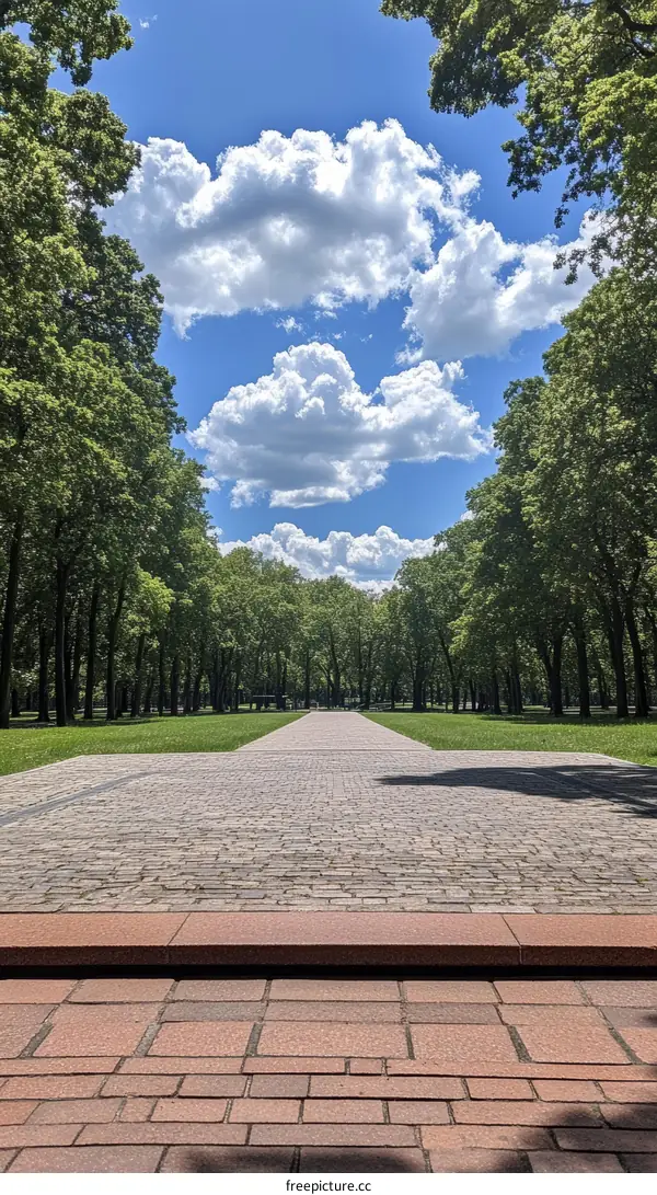 Park Pathway Under a Sunny Sky