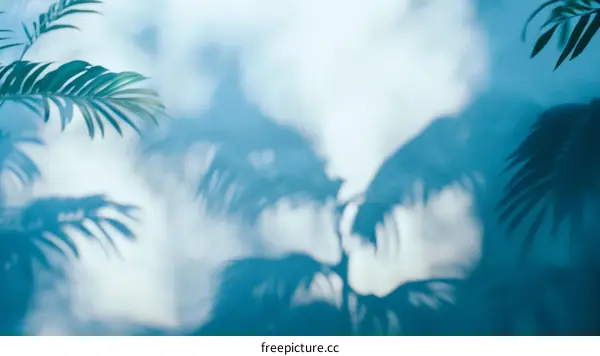 Soft Shadows of Palm Leaves on a Light Blue Background