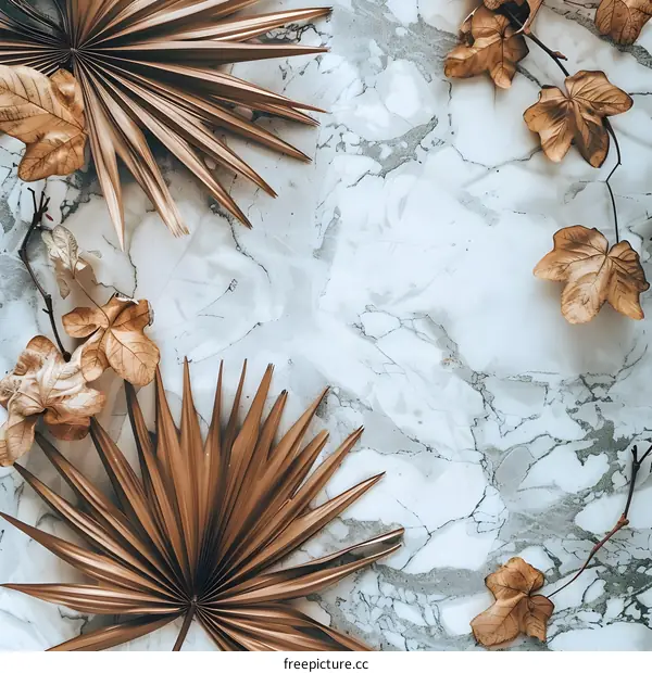 Dried Palm Leaves and Branches on Marble Background