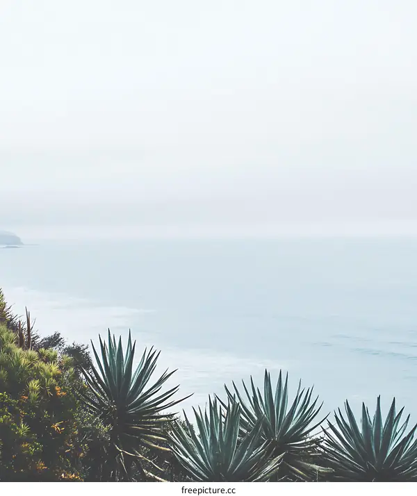 Ocean View with Lush Greenery