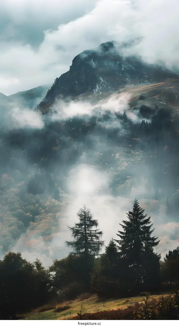 Misty Mountain Landscape With Trees and Clouds