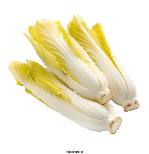 [Transparent Background PNG]Fresh Baby Napa Cabbage on White Background