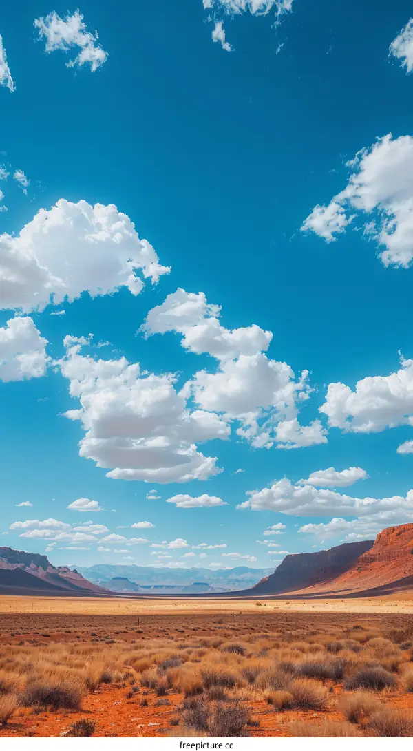 Arid Desert Landscape with Distant Mountains