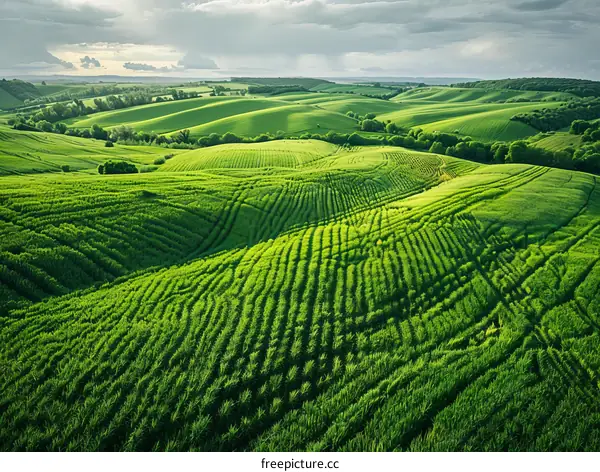Rolling Green Hills and Cloudy Sky over Farmland