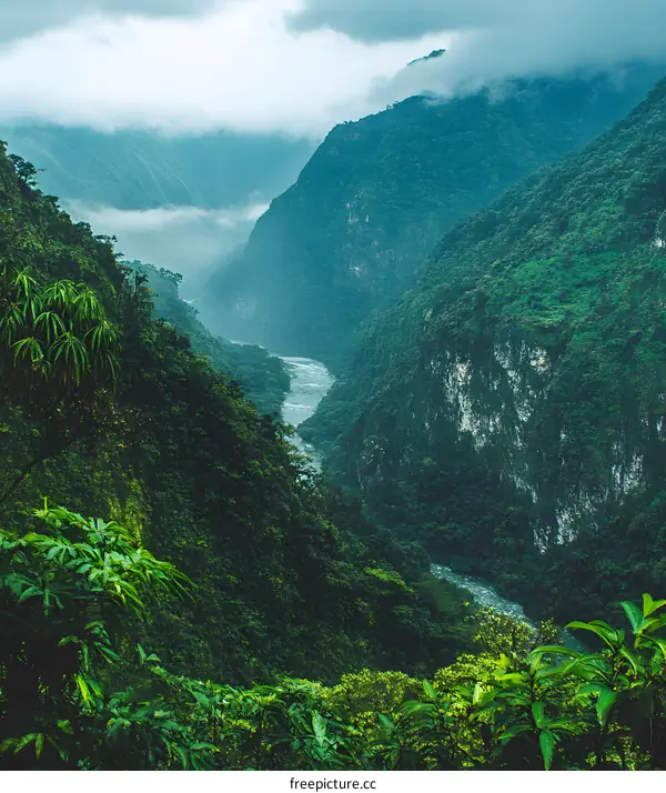 Aerial View of a Lush Green Valley with a Winding River