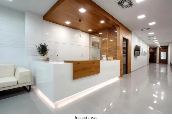Modern Clinic Reception Area Design