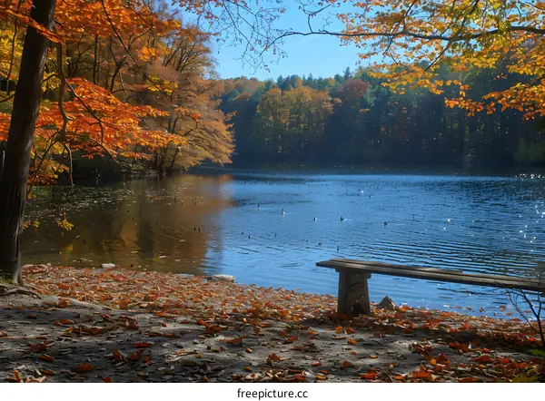 Autumn Landscape with a Bench by the Lake