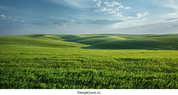 Rolling Green Hills under Blue Sky with Clouds