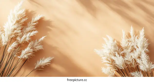 Minimalist White Pampas Grass on Beige Background