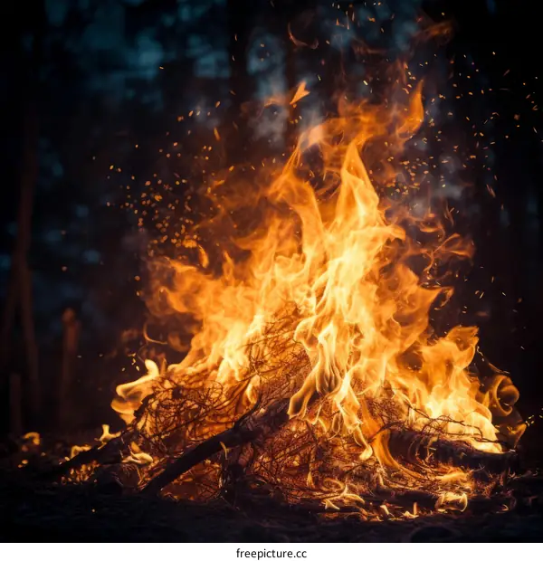 A Bonfire Burns Brightly in the Night Sky