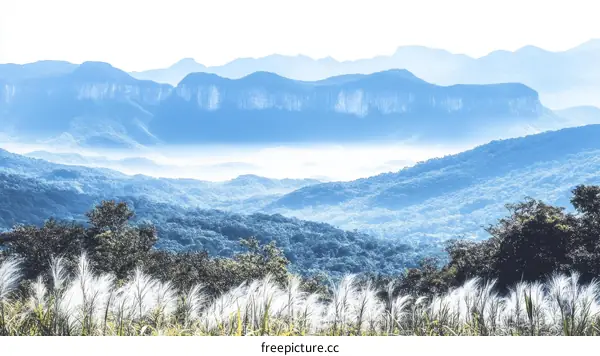 Misty Mountain Landscape Scenic View