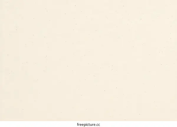 Plain Off-White Paper Texture Background
