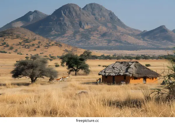 Thatched hut in the African wilderness