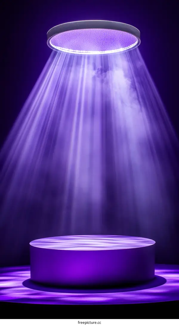 Purple Illuminated Elevated Display Stage
