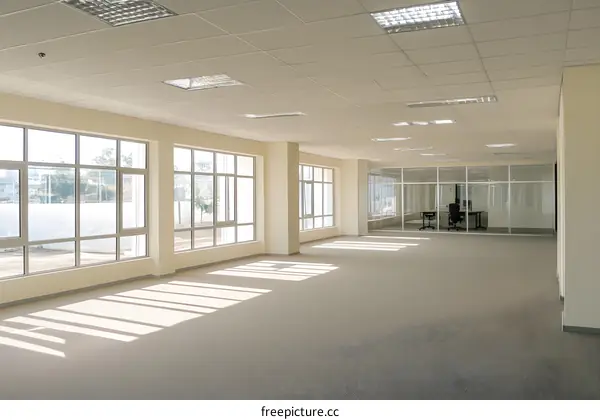 Empty Office Space With Windows And Sunlight