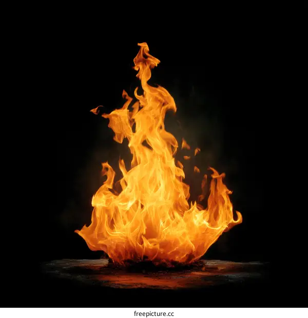 Fiery Flames Against a Dark Background