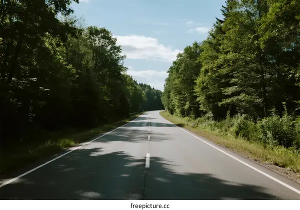 A peaceful country road surrounded by lush green trees under a clear sky