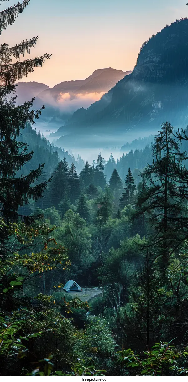 Camping in the Misty Mountains