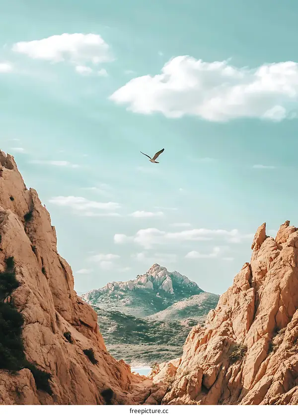 Seagull Flying Over Mountain Landscape