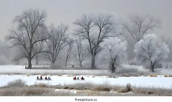 Winter Biking in a Foggy Forest