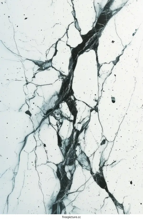 Black and white marble texture with veins