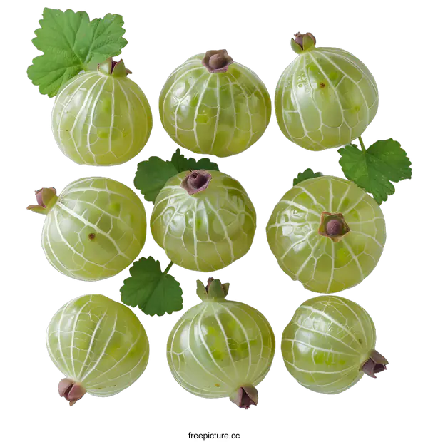[Transparent Background PNG]Green Gooseberries and Leaves