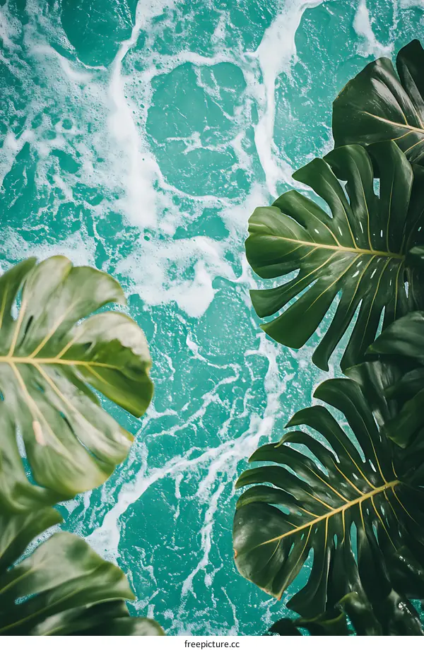 Tropical Green Leaves and Blue Water with Bubbles