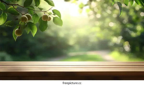 Empty wooden table outdoors with a blurred garden background