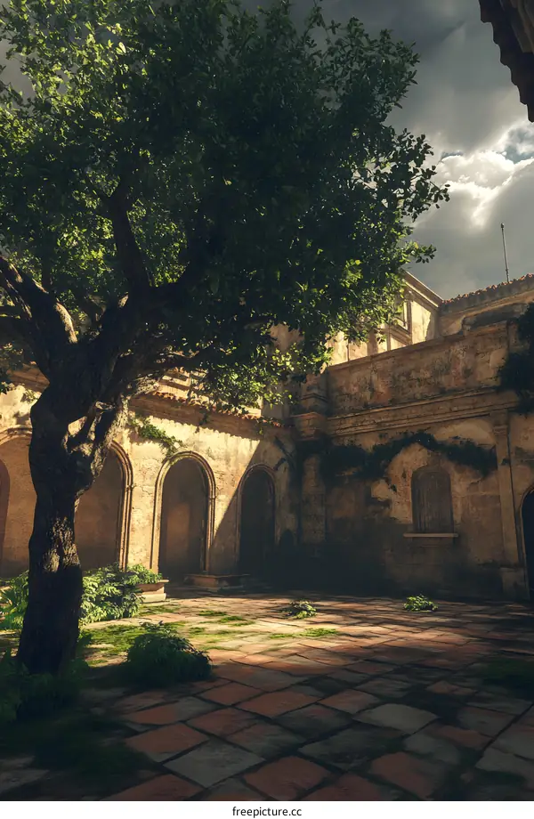 Old European Courtyard With Sun Shining Through Tree