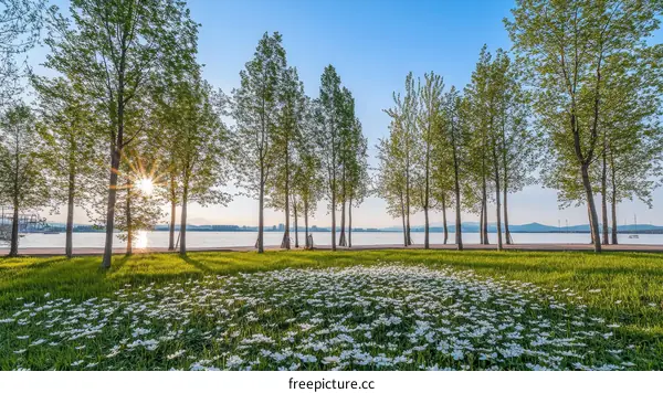 Riverside Park with Trees and Flowers at Sunrise