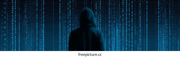 Anonymous Hacker Facing Digital Code Rain