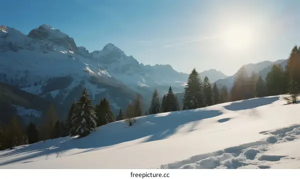 Sunlit Snowy Mountain Slope with Lush Pine Trees in Winter