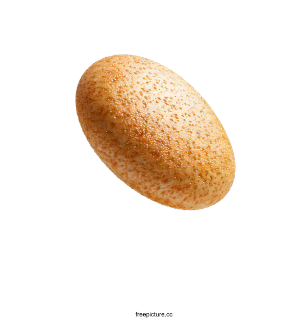 [Transparent Background PNG]Close-up image of a bun