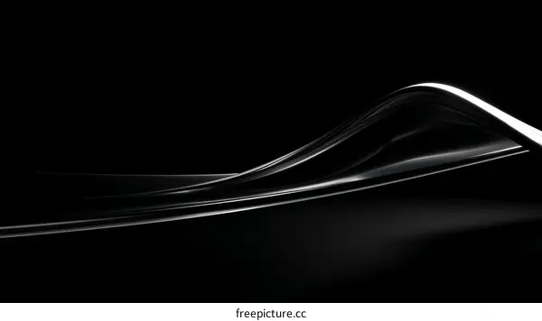Abstract Design with Black and White Flowing Lines
