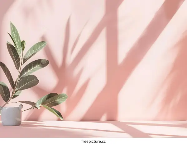 Pink Wall With Green Plant and Sunlight Shadow