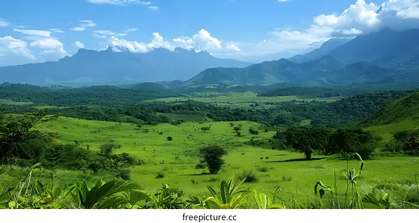 Green hills and blue sky