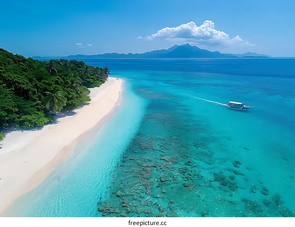 Tropical Island Paradise Beach Ocean