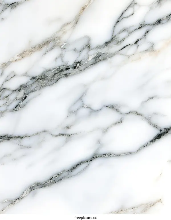 Elegant White Marble Texture Background