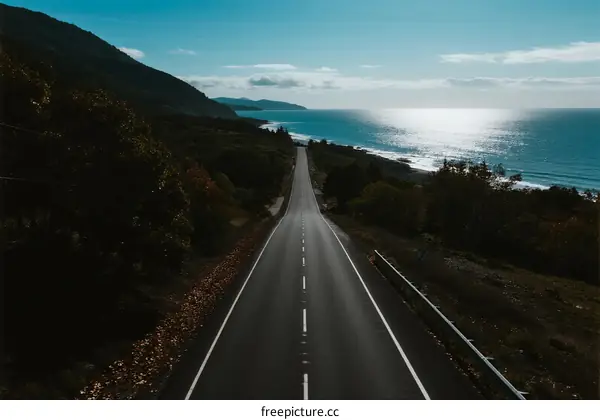 A scenic road leading to the beautiful seaside under clear sky